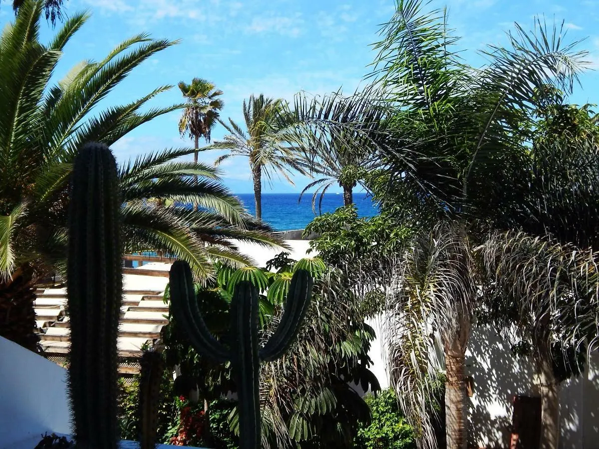 Beautiful Beachfront Playa de las Américas 0*,  Spanje